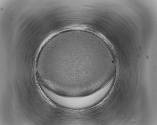 X0000087421240200704201418