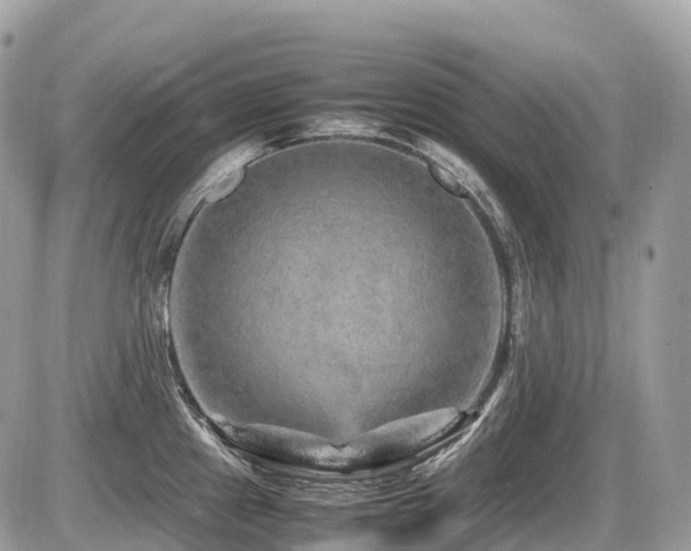 X0000087421241200704201418