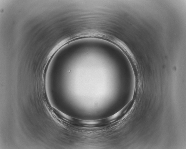 X0000087421242200704201418