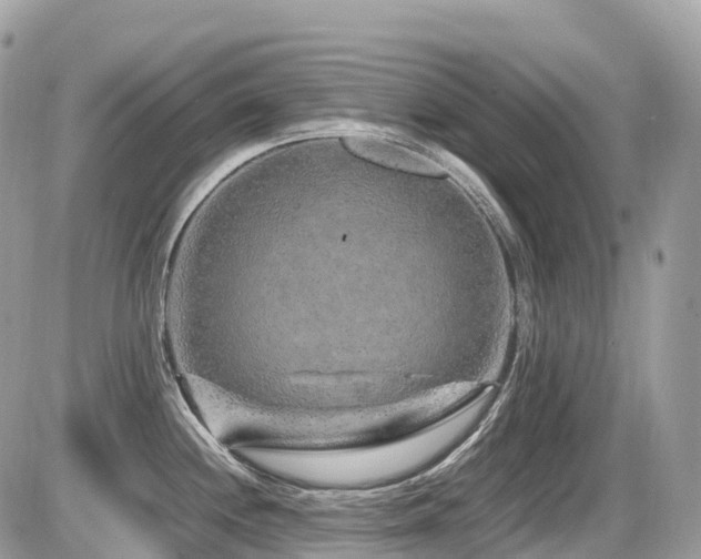 X0000087421244200704201418