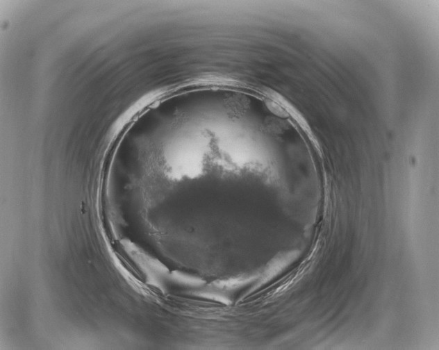 X0000087421245200704201418