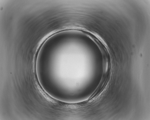 X0000087421246200704201418