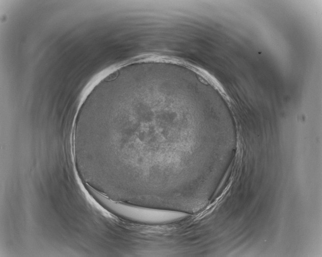 X0000087421247200704201418