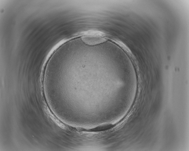 X0000087421248200704201418