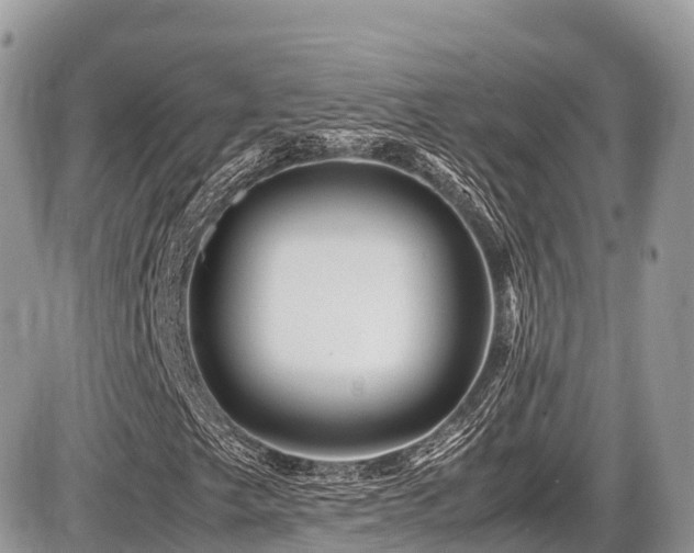 X0000087421249200704201417