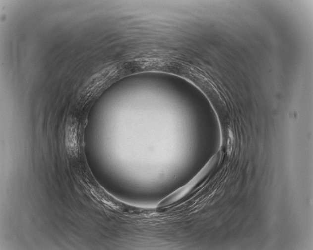 X0000087421250200704201417