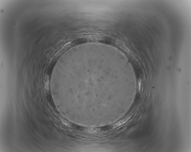 X0000087421251200704201417