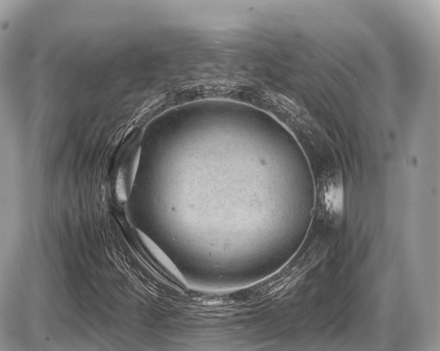 X0000087421252200704201417