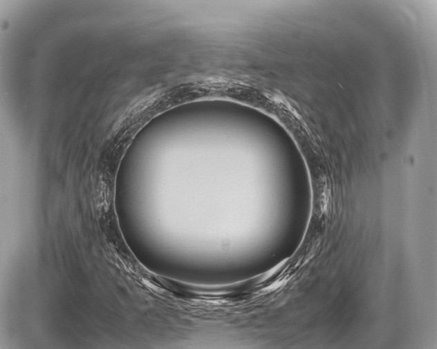 X0000087421253200704201417