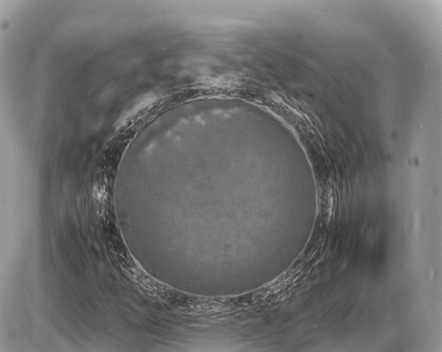 X0000087421254200704201417