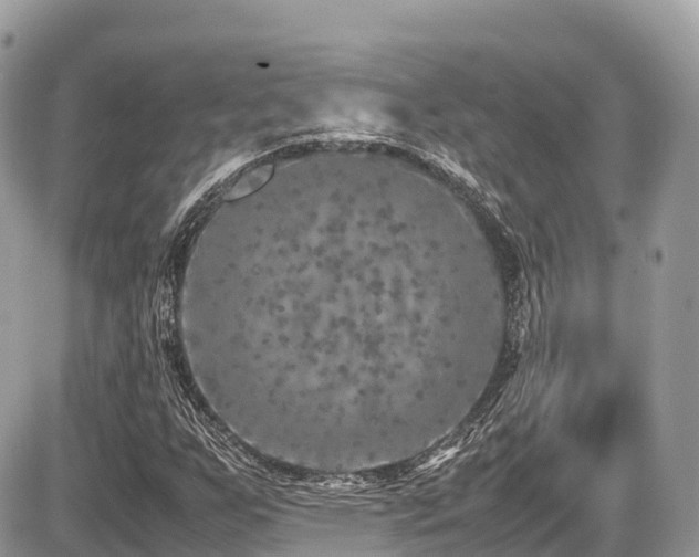 X0000087421255200704201417