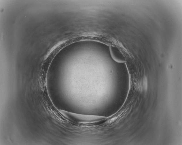 X0000087421256200704201417