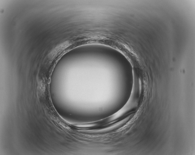 X0000087421257200704201417