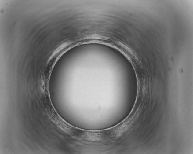 X0000087421258200704201417