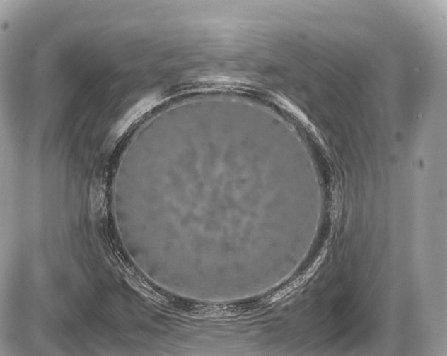 X0000087421259200704201417