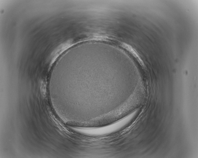 X0000087421260200704201417