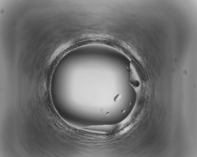 X0000087421261200704201417