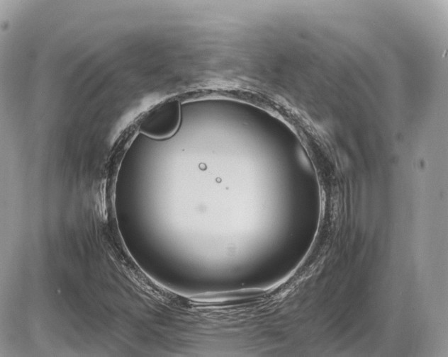 X0000087421262200704201417