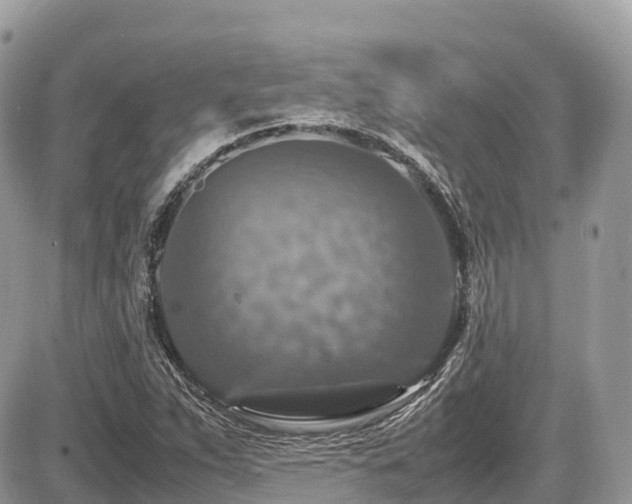 X0000087421263200704201417