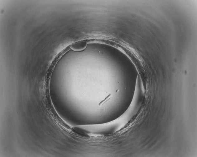 X0000087421264200704201417