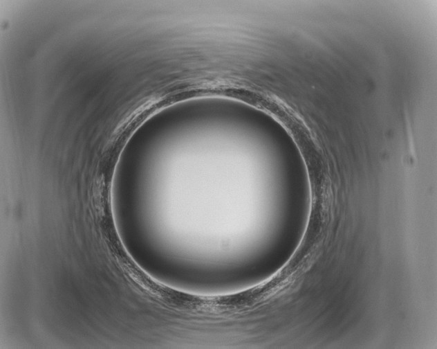 X0000087421265200704201417