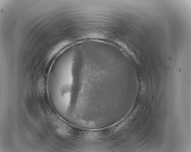 X0000087421266200704201417