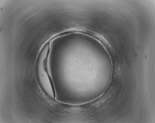 X0000087421268200704201417