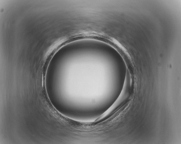 X0000087421269200704201417