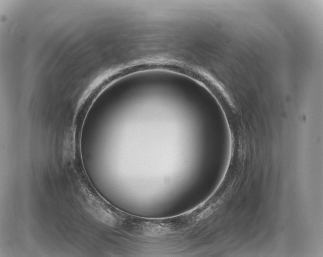 X0000087421270200704201417