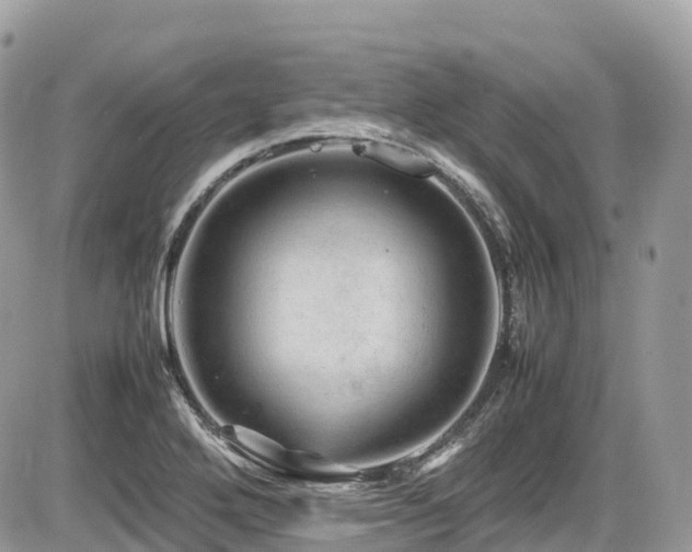 X0000087421272200704201417