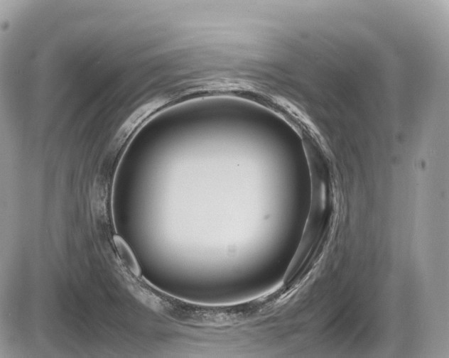 X0000087421273200704201417