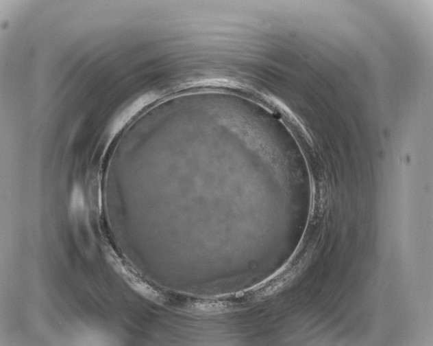 X0000087421274200704201417