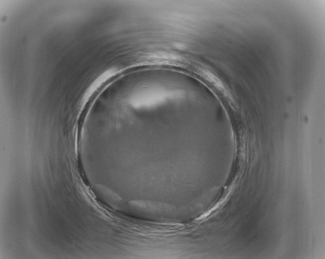 X0000087421275200704201417