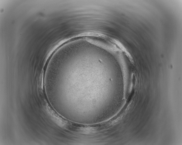 X0000087421276200704201417