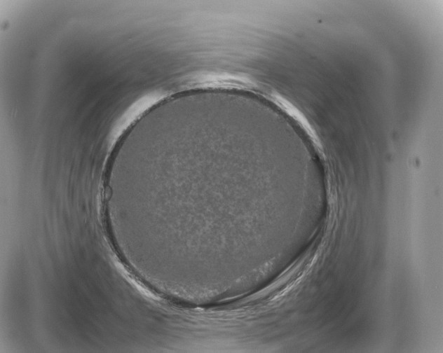 X0000087421277200704201417