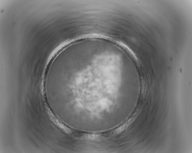 X0000087421278200704201417