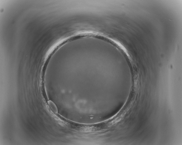 X0000087421279200704201417