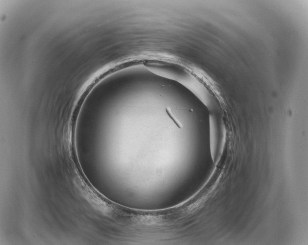 X0000087421280200704201417