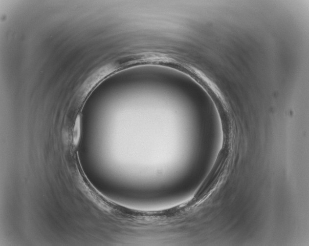 X0000087421281200704201417