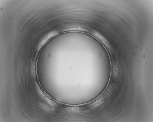 X0000087421282200704201417