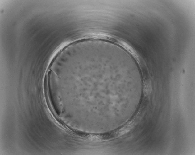 X0000087421283200704201417