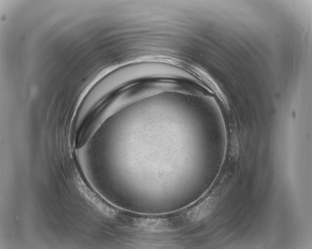 X0000087421284200704201417