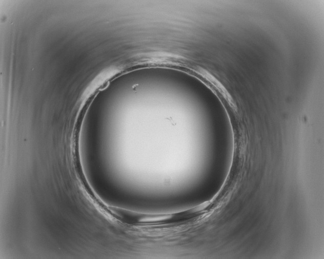 X0000087421285200704201416