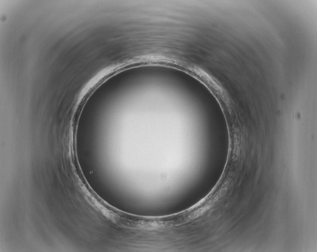 X0000087421286200704201416