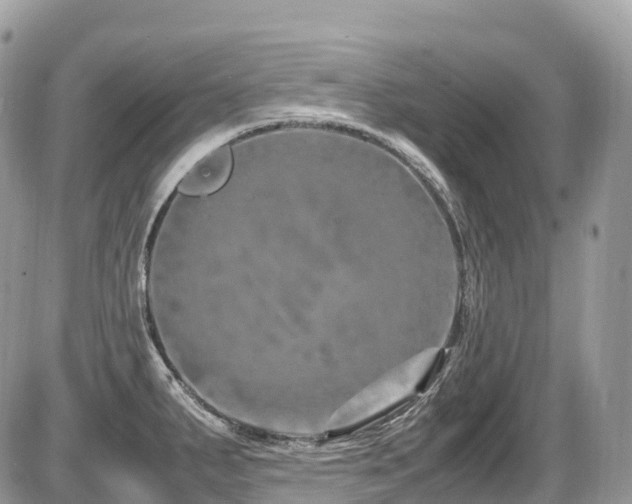 X0000087421287200704201416