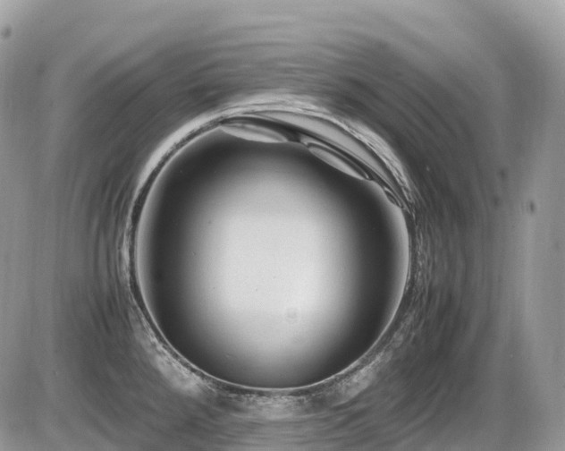 X0000087421288200704201416