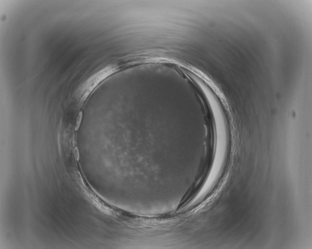 X0000087421289200704201416