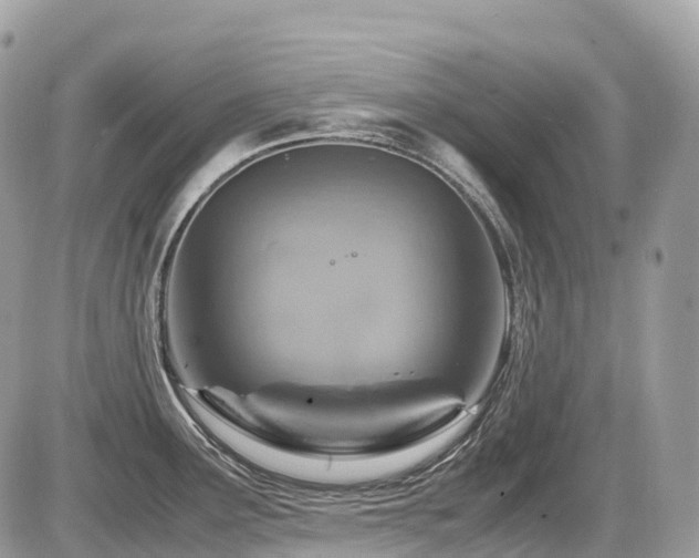 X0000087421291200704201416