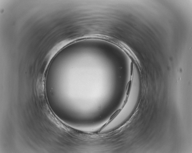 X0000087421292200704201416