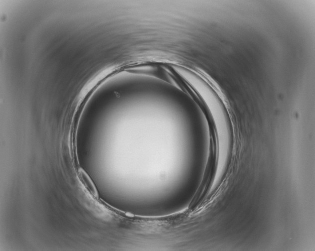 X0000087421293200704201416